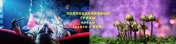 тгк Новокубанск