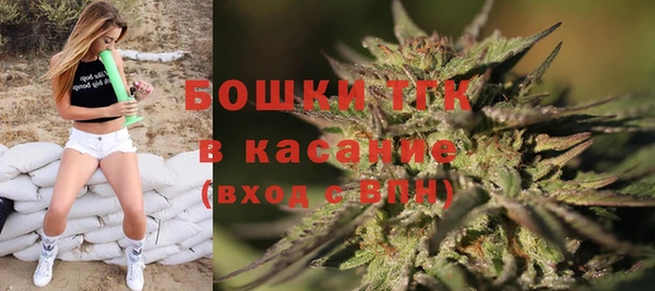 стаф Мегион