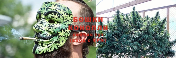 a pvp Новодвинск