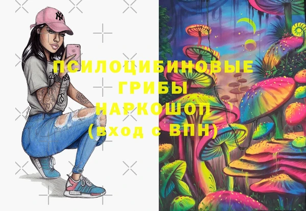 тгк Новокубанск