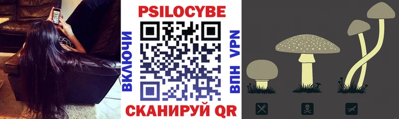 магазин    Нариманов  hydra сайт  Галлюциногенные грибы прущие грибы 